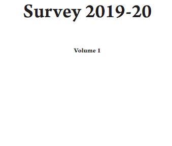 Economic Survey 2019-20 and the Missing Role of the Government